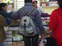 -北京稻香村(前门店)
