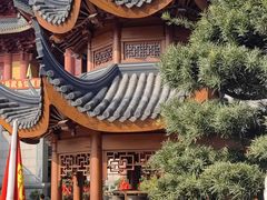 -上海东林寺(金山区)