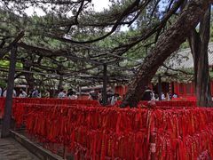 -红螺寺