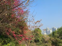 -乌山风景区