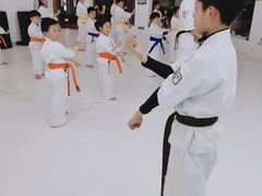 -极真空手道修远道场