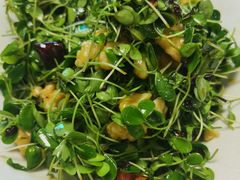 -大家乐东北菜(富河园店)