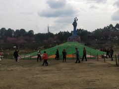 -秀丽东方