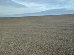 -启东黄金海滩景区