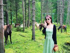 -硗碛藏寨·神木垒景区