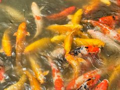 -西部长青自然儿童乐园