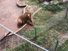 -无锡动物园·太湖欢乐园