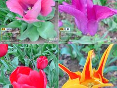 -国家植物园南园