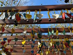 -三亚南山文化旅游区