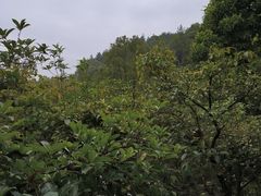 -故乡缘·香格里拉山庄(冷竹路店)