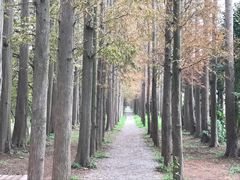 -上海长兴岛郊野公园