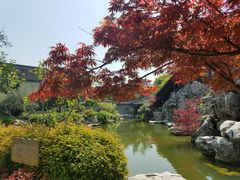 -口岸雕花楼