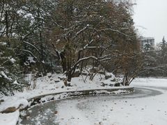 -西安市长乐公园