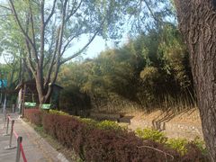 -鲁山国家森林公园