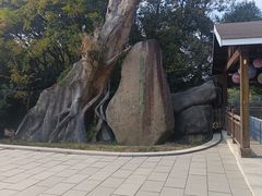 -宝岩生态观光园