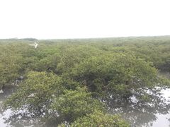 -北海金海湾红树林生态旅游区