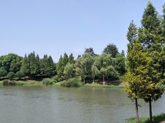 -尚贤河湿地