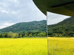 -风云岭森林公园