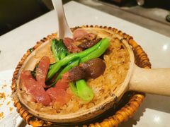 -肥仔文澳门猪骨煲(南京西路店)
