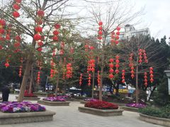 -乌山风景区