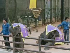 -东芭乐园