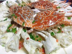 -舒味姜母鸭·沙茶面(湖里店)