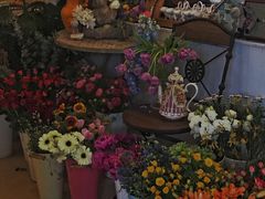 景观位-Jo's Garden