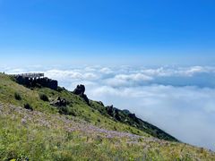-白草畔自然风景区