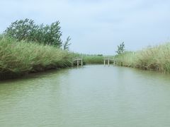 -泗洪洪泽湖湿地景区
