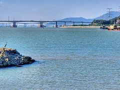 -芒洲湿地公园