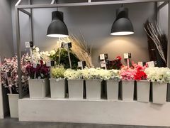 -宜家家居(哈尔滨商场店)