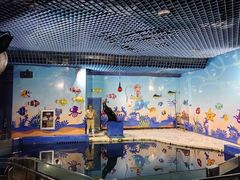 -太平洋海底世界