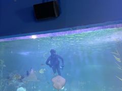 -常州海昌海洋探索馆