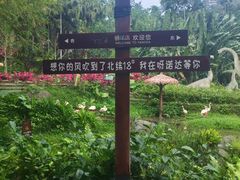 -呀诺达热带雨林