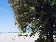 -东钱湖旅游度假区