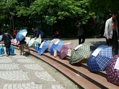 -人民公园-相亲角