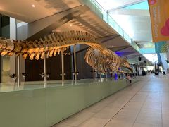 -墨尔本博物馆(Melbourne Museum)