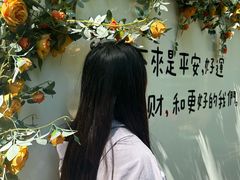 -日照海滨国家森林公园
