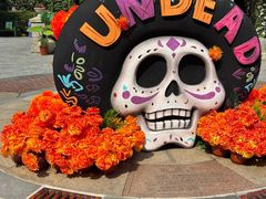 -大连海昌发现王国主题公园