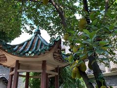 -东莞市可园博物馆