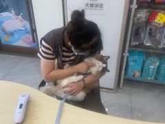-瑞鹏宠物医院·骨科·猫科·内科(第一中心)