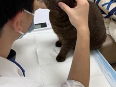 -美联众合动物医院·24h转诊中心