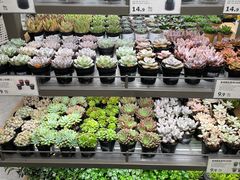 -鹿岛生活(熙地港店)