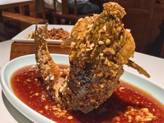 -梅飞酒家(桑园路店)