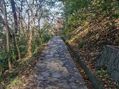 -紫金山山顶公园