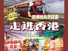 -Big Bus Tours 敞篷观光巴士