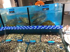 水产区-天天鱼港·海鲜·鲅鱼水饺·招牌烤鸭(黄骅店)