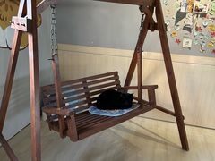 -豆逗聊愈猫阁Easy Life