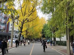 -四川大学(华西校区)