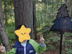 -五营红松林海景区